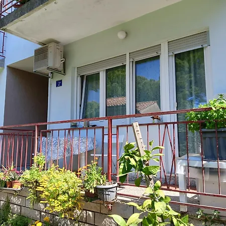 Lungomare Apartment